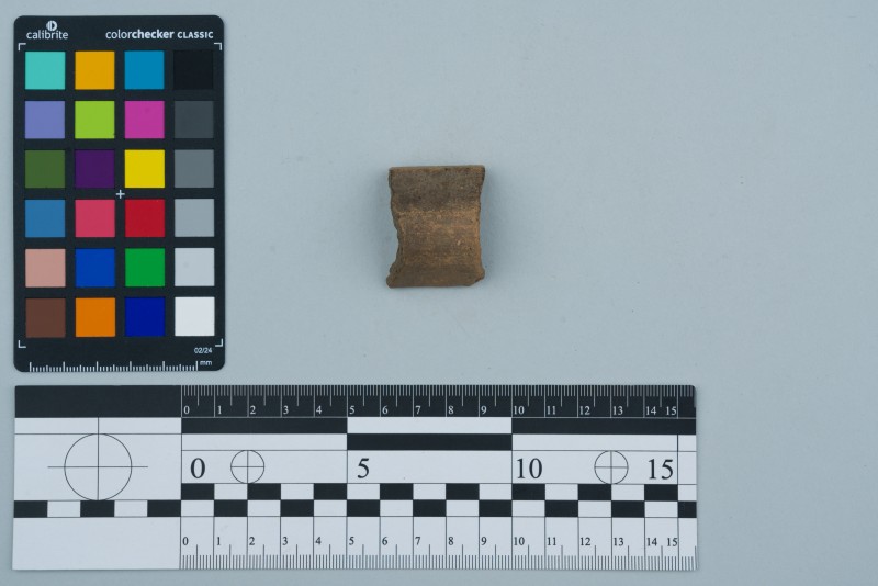 Вінчик посудини