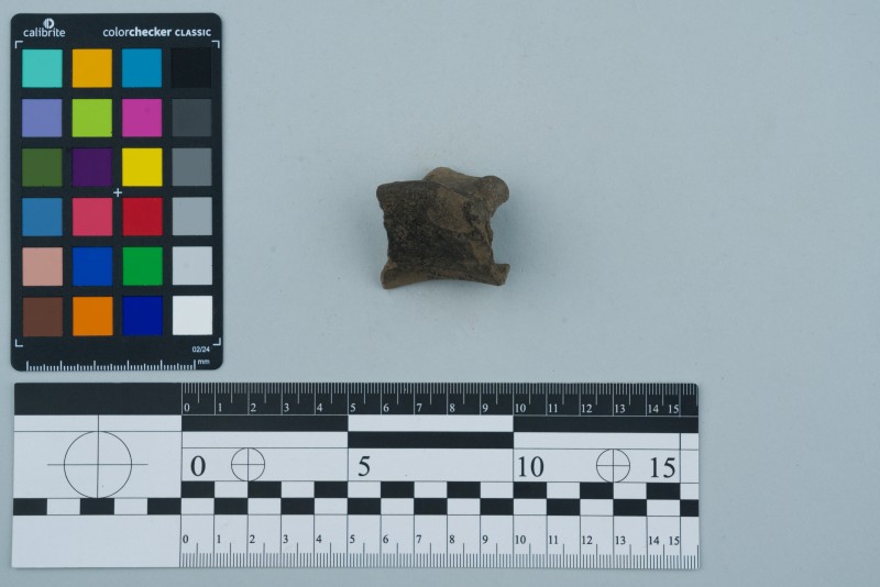 Вінчик посудини