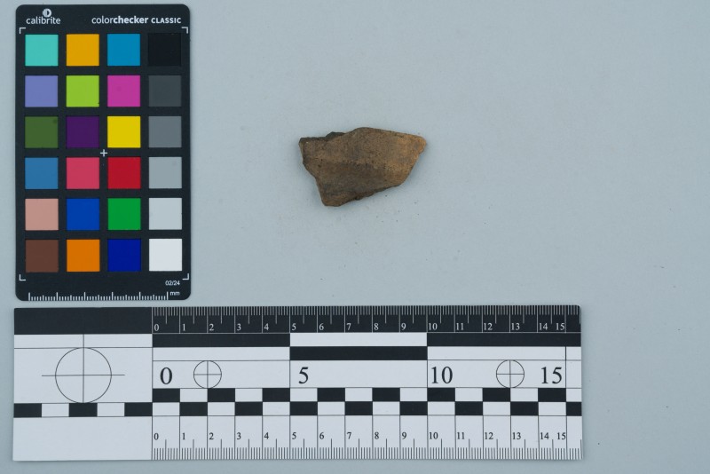 Вінчик посудини