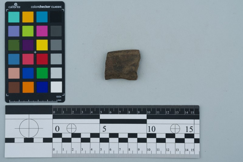 Вінчик посудини