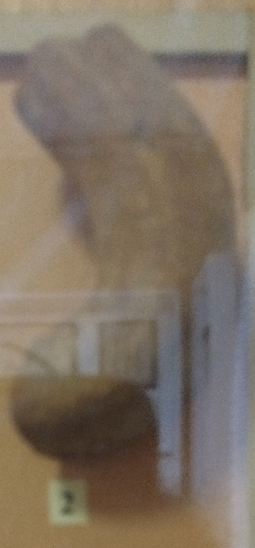 Ручка з глиняного посуду. Черняхівська культура.