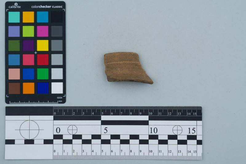 Вінчик посудини