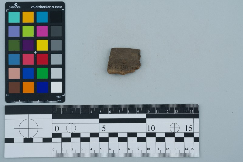 Вінчик посудини