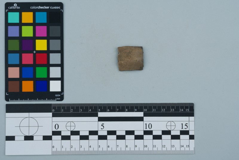 Вінчик посудини