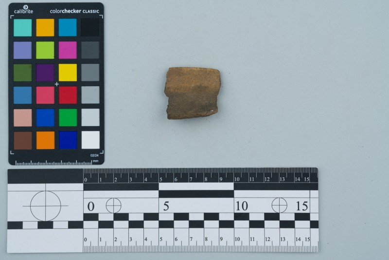 Вінчик посудини