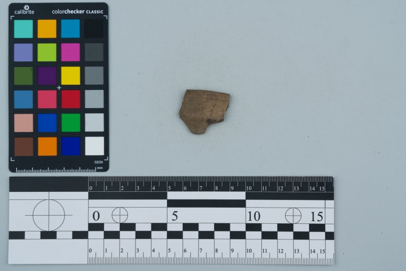 Вінчик посудини