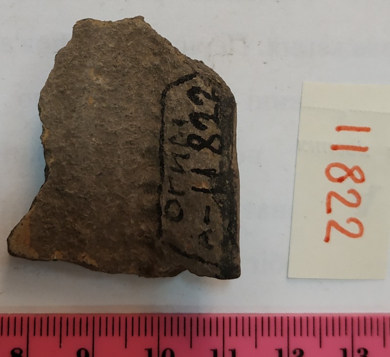 Фрагмент стінки ліпної сіроглиняної посудини, жовтого кольору назовні