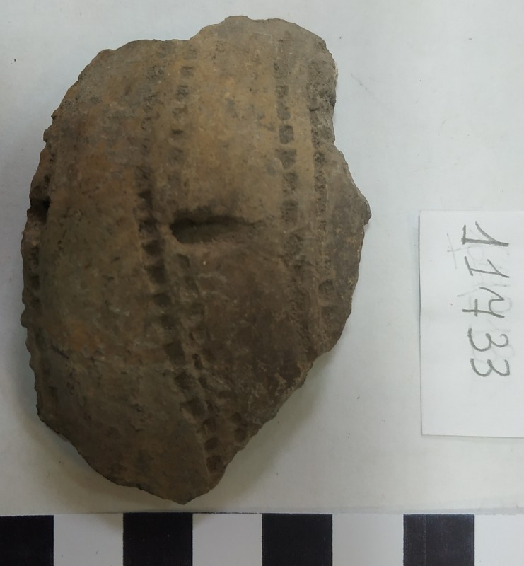 Фрагмент стінки ліпної сіроглиняної посудини з вушком