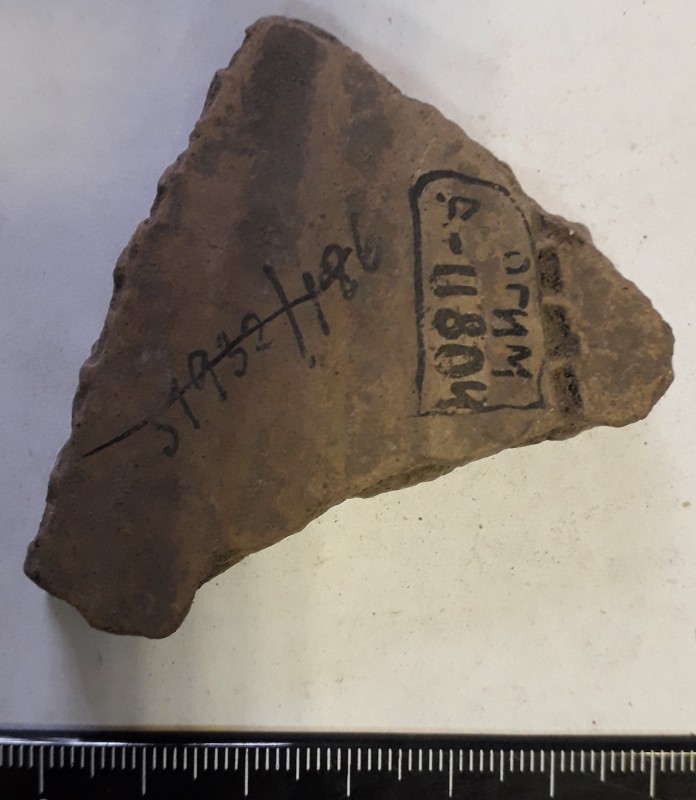 Фрагмент стінки ліпної сіроглиняної посудини