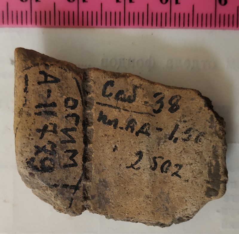 Фрагмент вінця ліпної сіроглиняної посудини