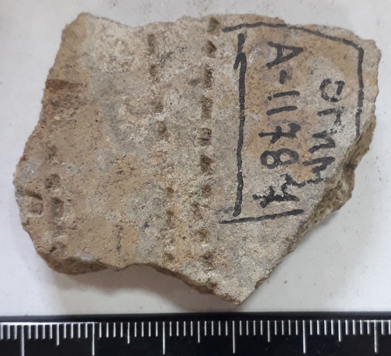 Фрагмент стінки ліпної жовтоглиняної посудини.