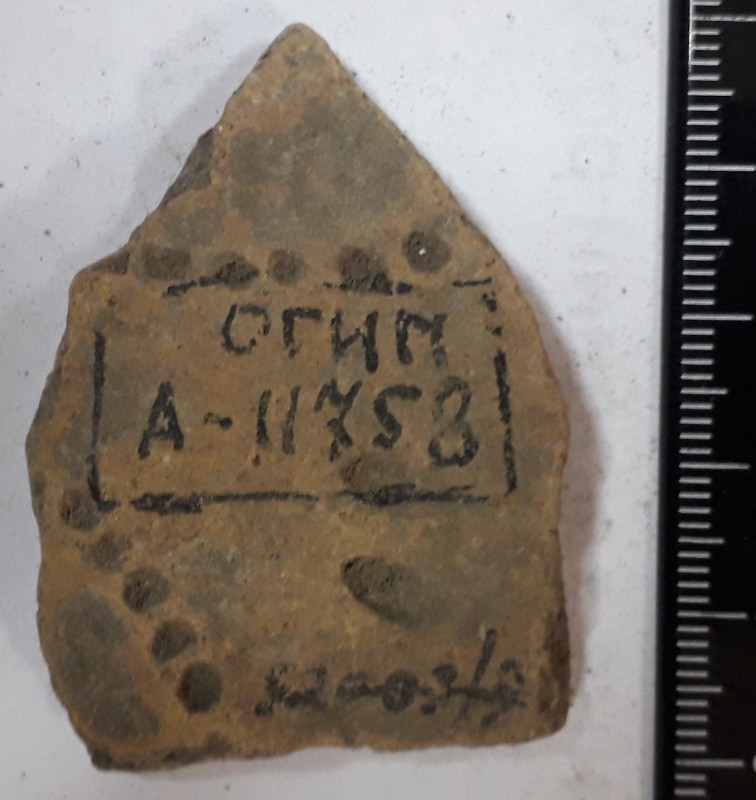 Фрагмент вінця ліпної сіроглиняної посудини