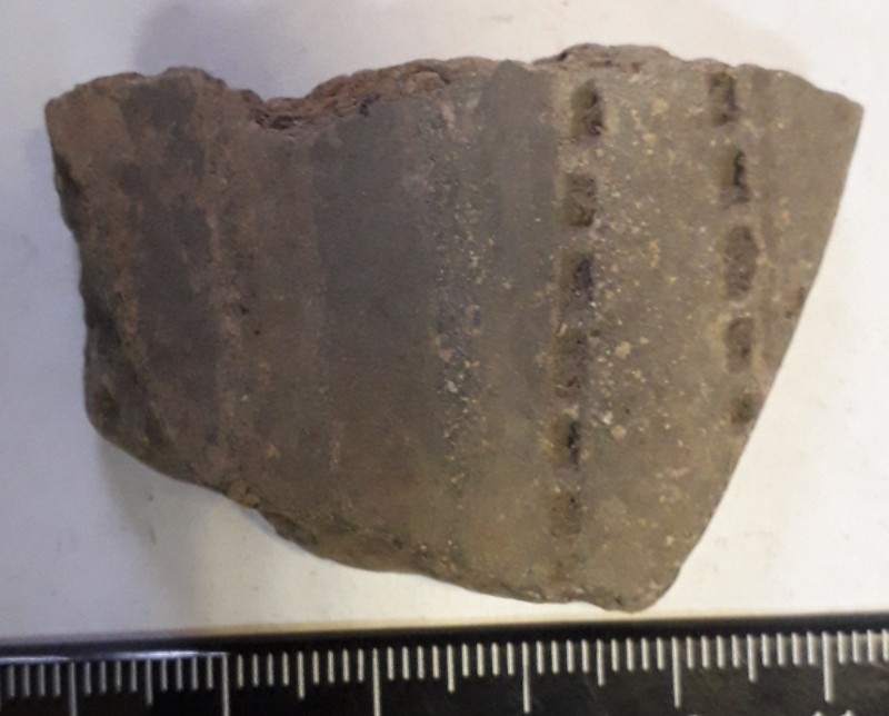 Фрагмент стінки ліпної сіроглиняної посудини