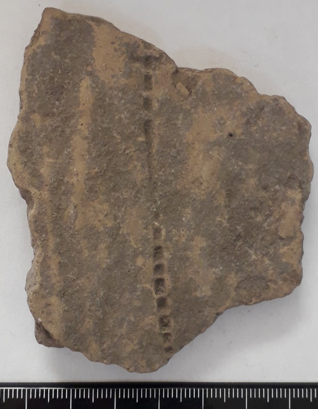 Фрагмент стінки ліпної сіроглиняної посудини жовтого кольора зовні