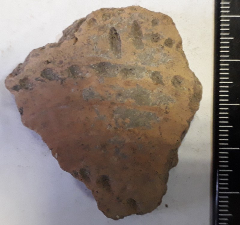 Фрагмент стінки ліпної сіроглиняної посудини, жовтого кольору зовні