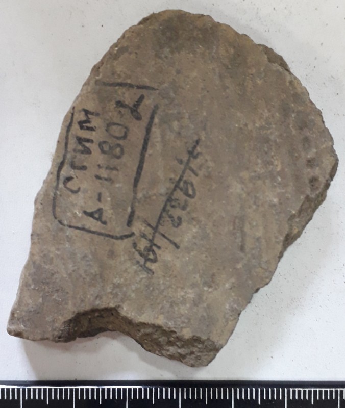 Фрагмент стінки ліпної сіроглиняної посудини