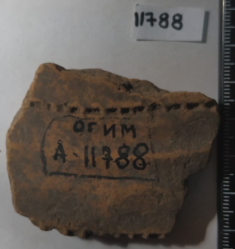 Фрагмент стінки ліпної жовтоглиняної посудини