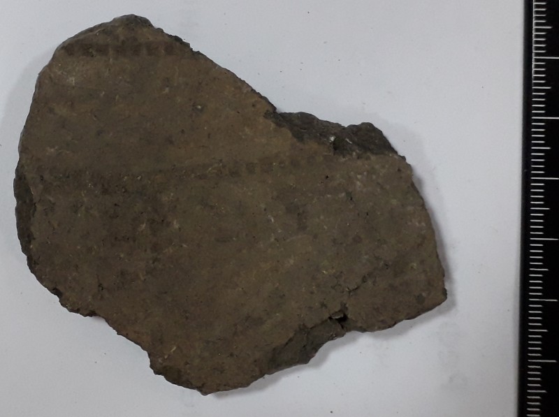 Фрагмент стінки сіроглиняної посудини.