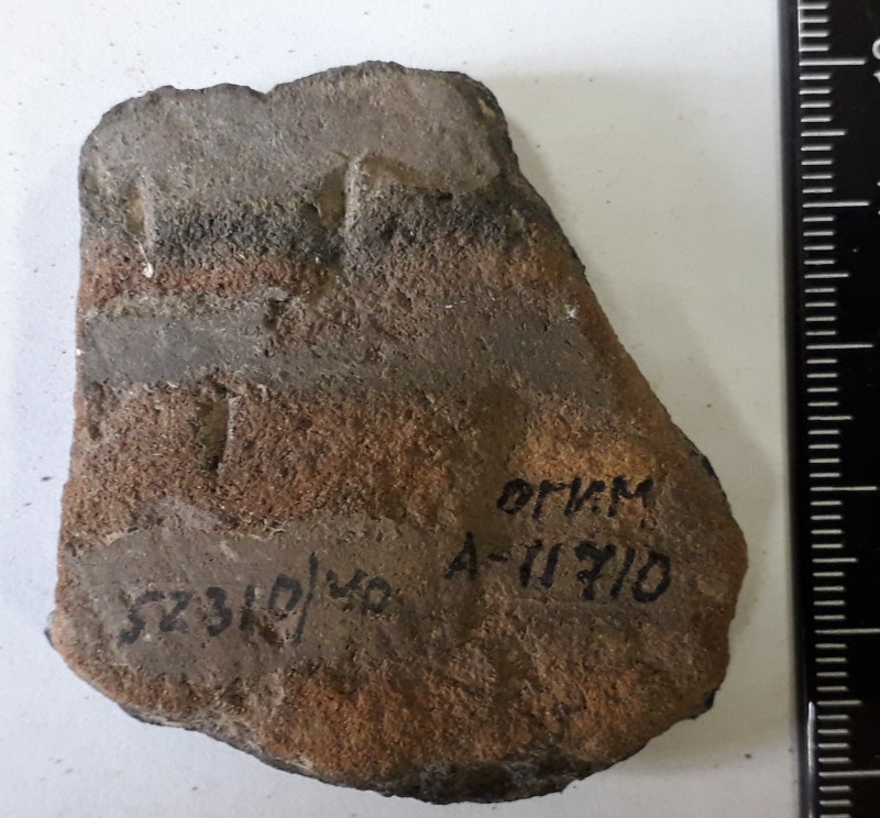 Фрагмент стінки ліпної посудини