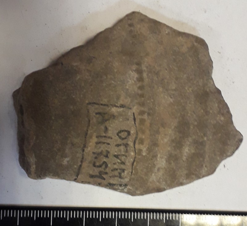 Фрагмент стінки ліпної сіроглиняної посудини