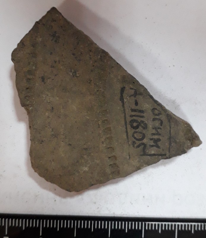 Фрагмент стінки ліпної сіроглиняної посудини