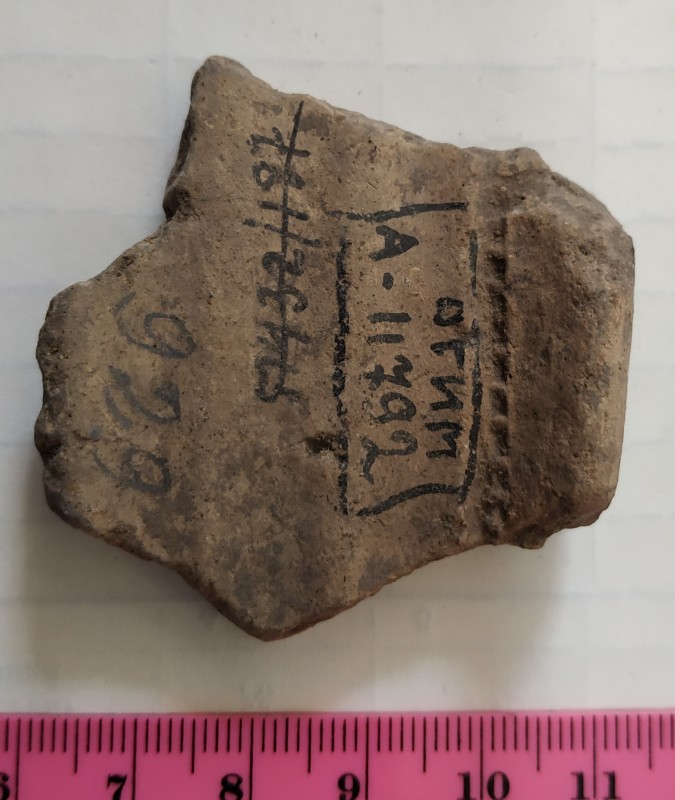 Фрагмент вінця ліпної сіроглиняної посудини