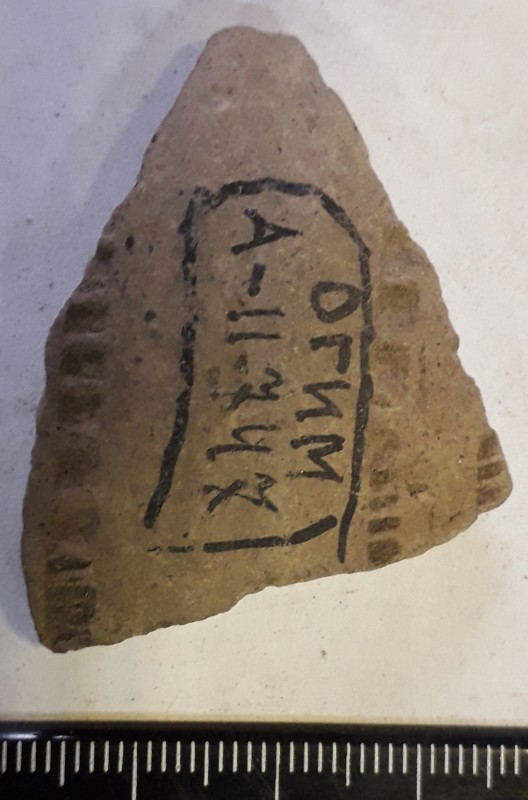 Фрагмент стінки ліпної сіроглиняної посудини.