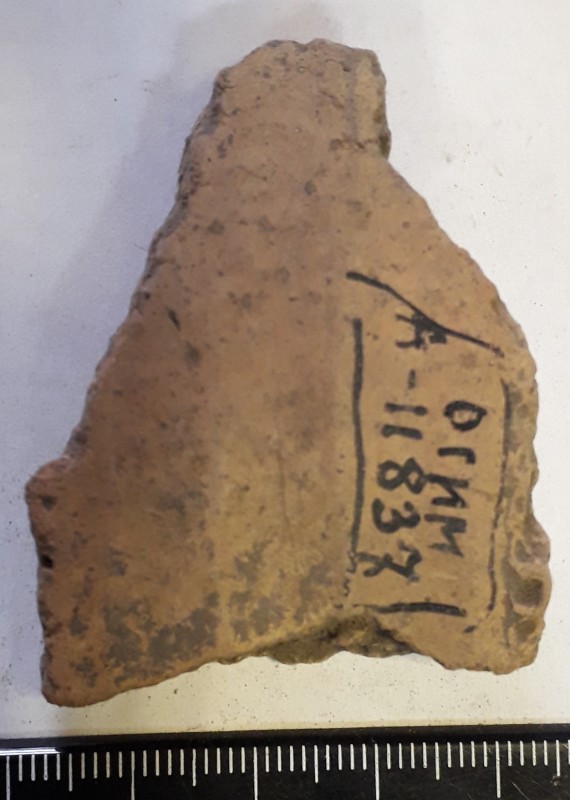 Фрагмент стінки ліпної жовтоглиняної посудини