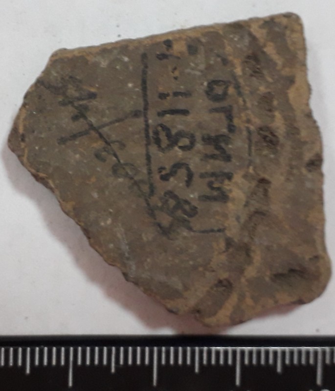 Фрагмент стінки ліпної сіроглиняної посудини