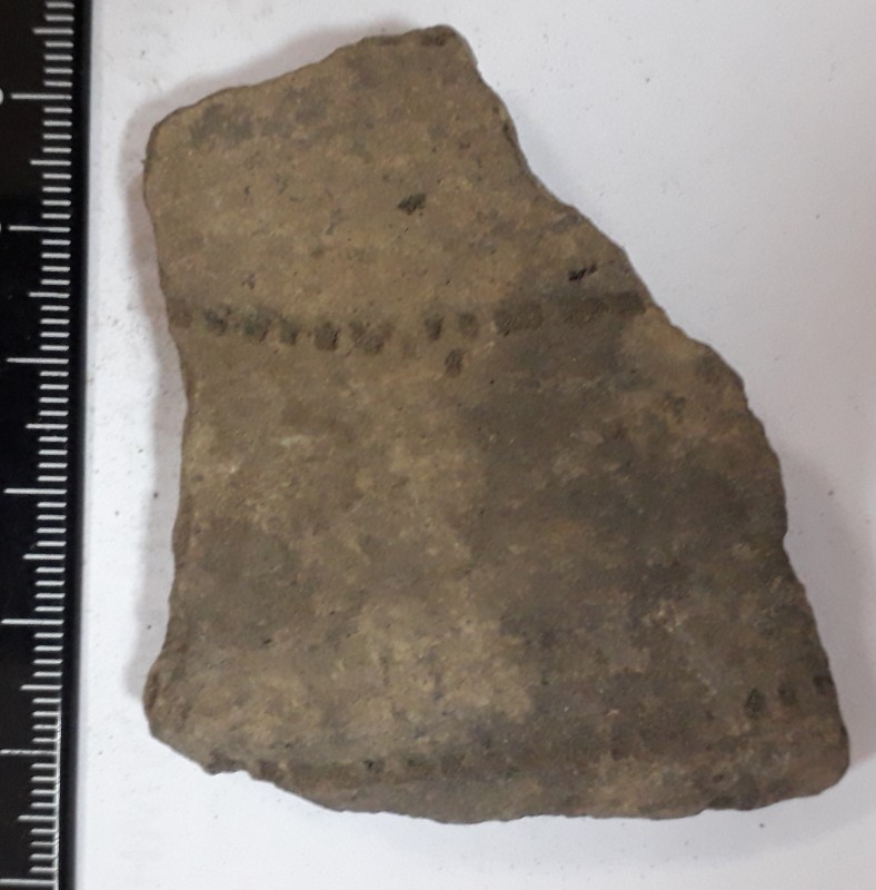 Фрагмент стінки ліпної сіроглиняної посудини.