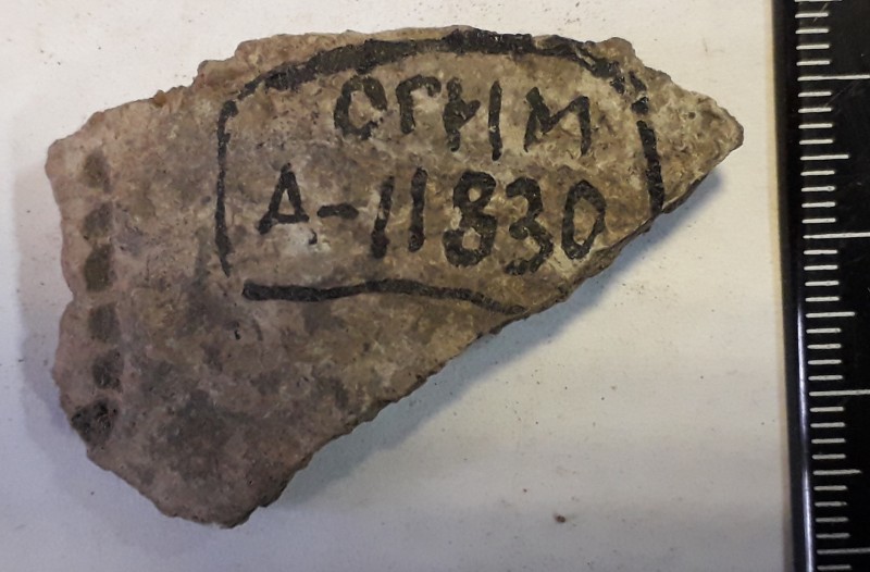 Фрагмент стінки ліпної сіроглиняної посудини