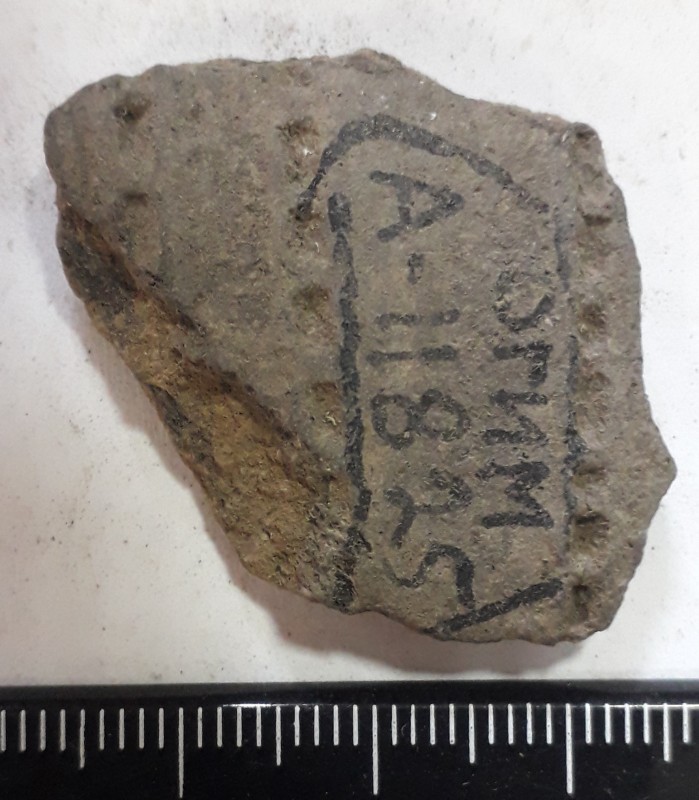 Фрагмент стінки ліпної сіроглиняної посудини