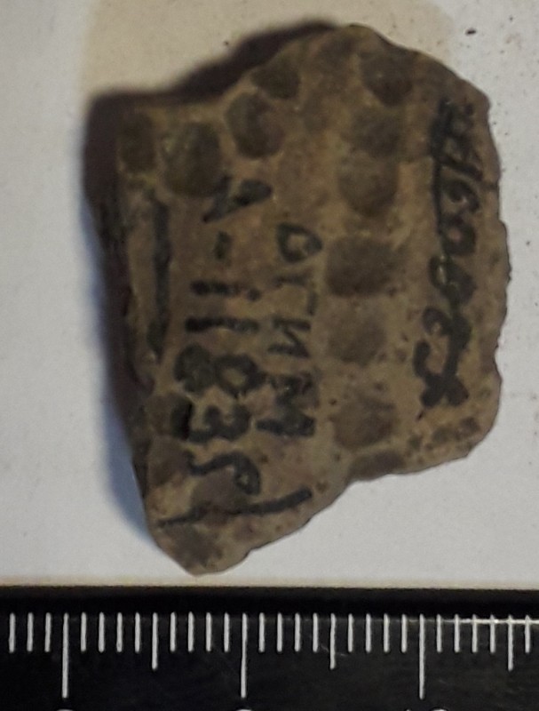 Фрагмент стінки ліпної сіроглиняної посудини, жовтого кольору назовні