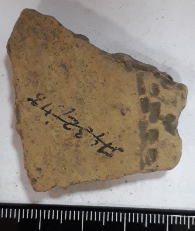 Фрагмент стінки ліпної сіроглиняної посудини