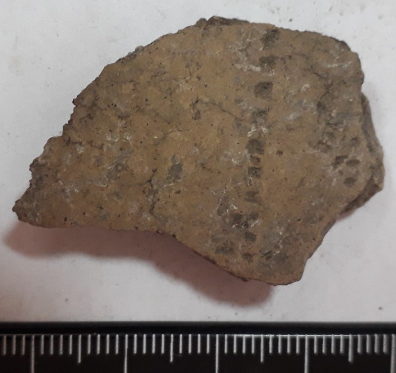 Фрагмент стінки ліпної сіроглиняної посудини