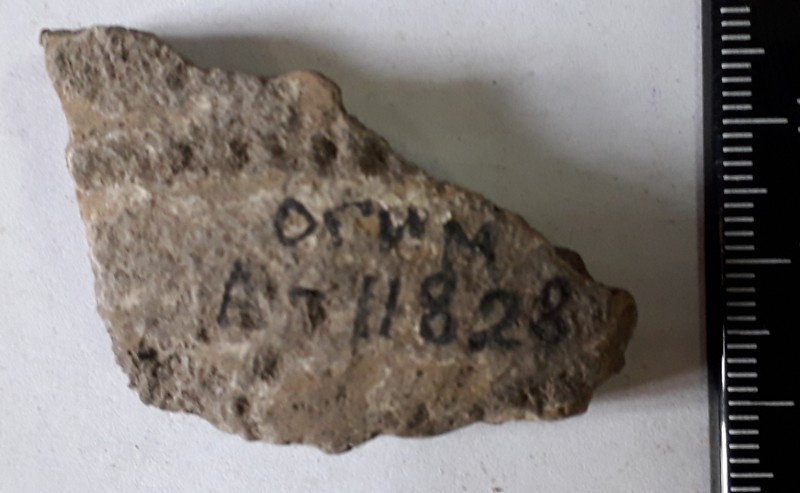 Фрагмент стінки ліпної сіроглиняної посудини.