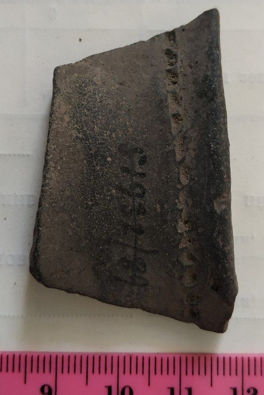 Фрагмент вінця ліпної сіроглиняної посудини