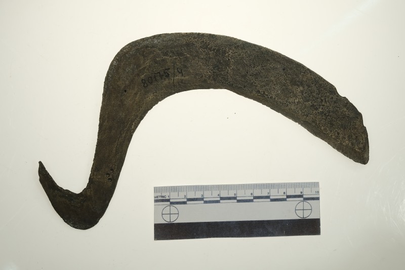 Серп гачкоподібний