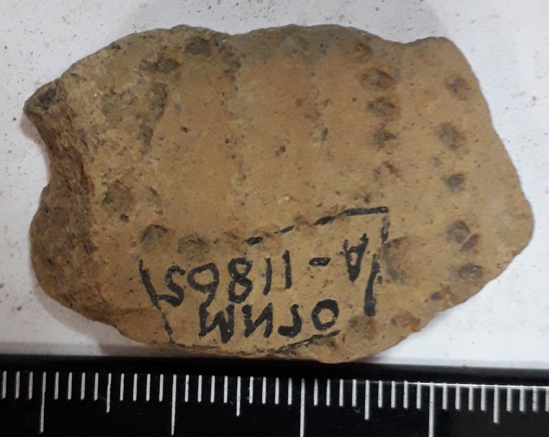 Фрагмент вінця ліпної жовтоглиняної посудини