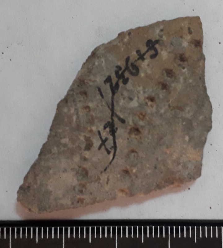 Фрагмент стінки ліпної сіроглиняної посудини, жовтого кольору назовні