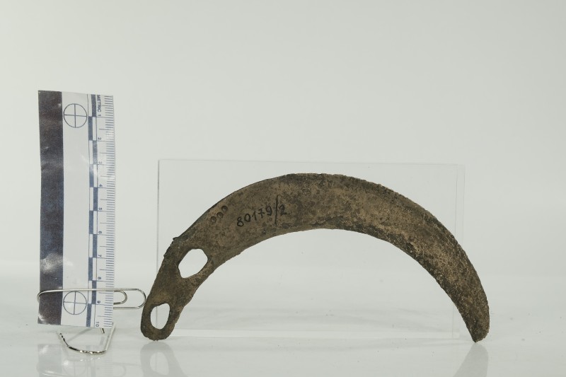 Серп слабовигнутий