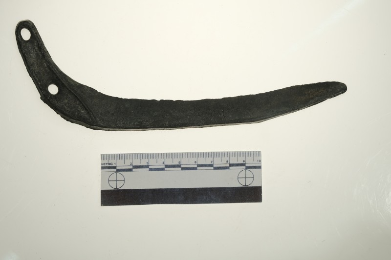 Серп слабозігнутий