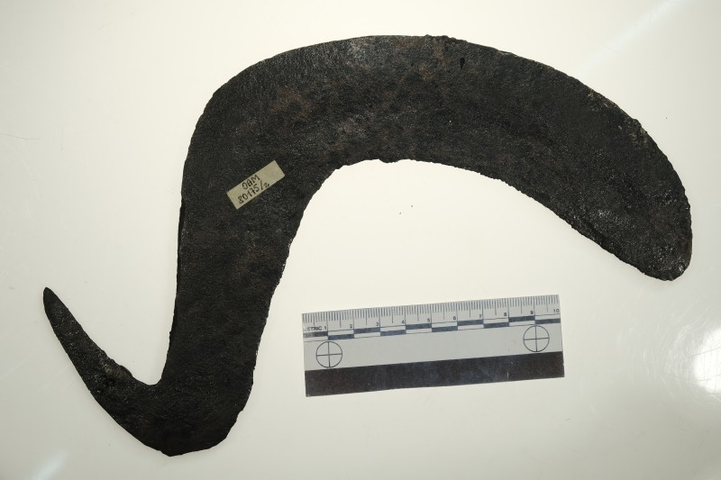 Серп гачкоподібний