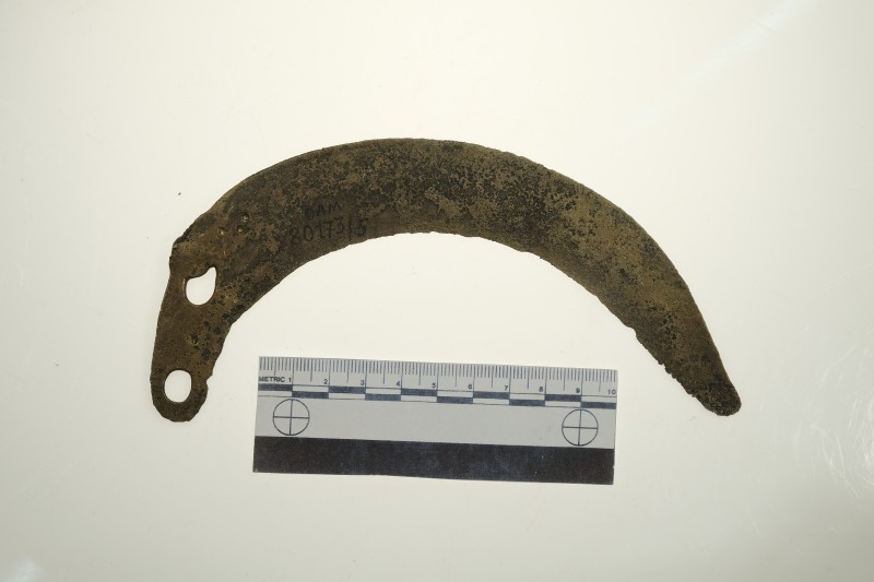 Серп слабовигнутий