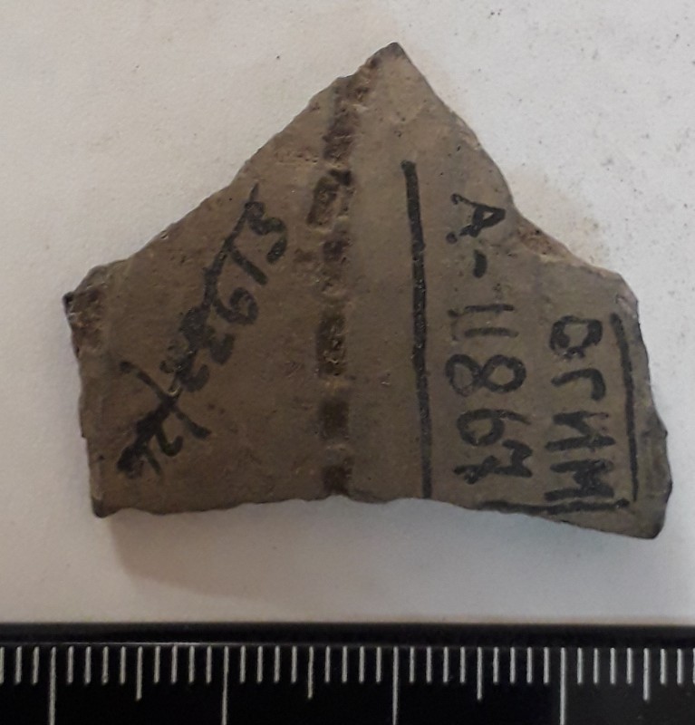 Фрагмент стінки ліпної сіроглиняної посудини