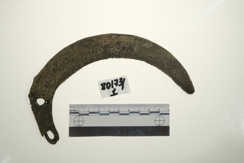 Серп слабовигнутий