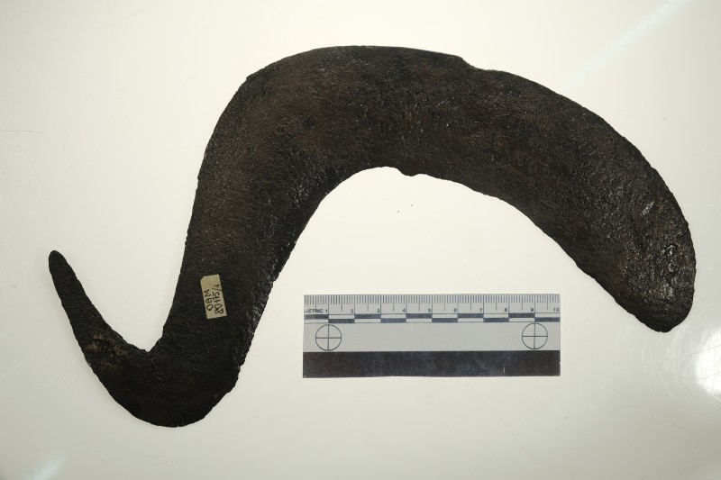 Серп гачкоподібний