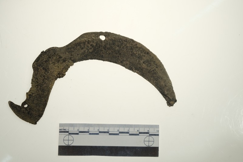 Серп гачкоподібний