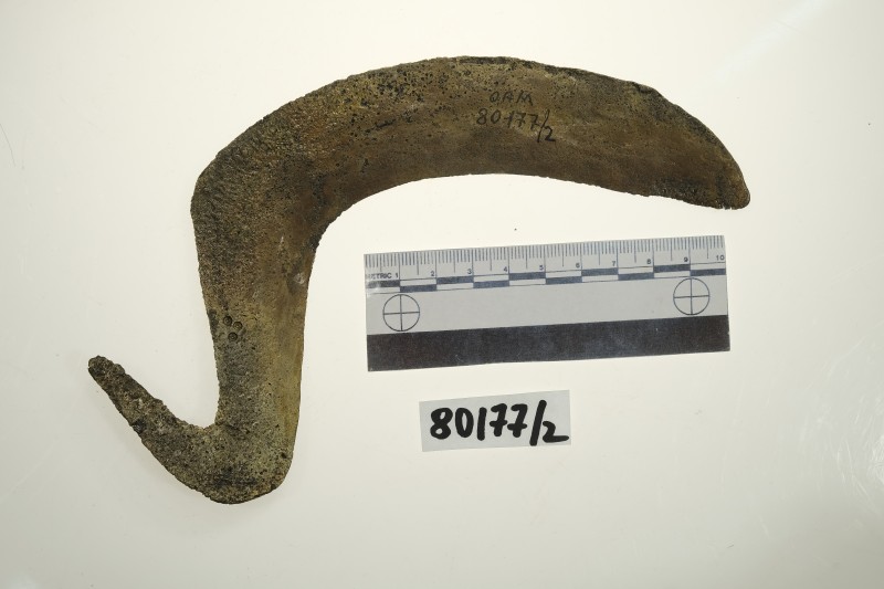 Серп гачкоподібний