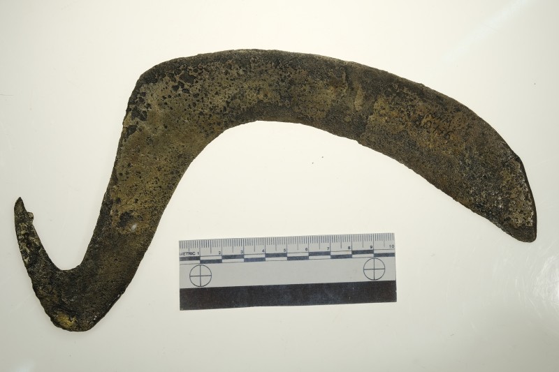 Серп гачкоподібний